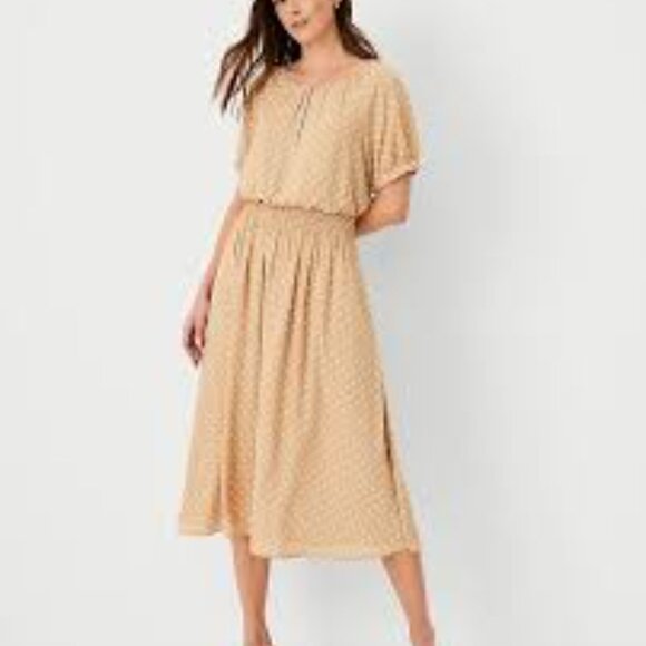 Ann Taylor Smocked Raglan Sleeve Flare Polka Dot Midi Dress XL NWT - Picture 1 of 7